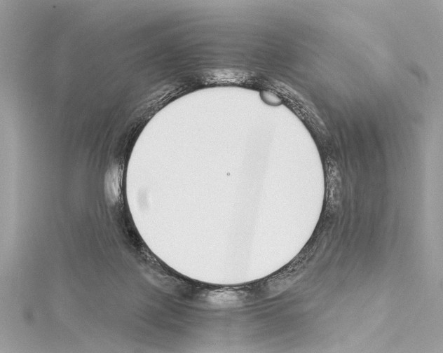 X0000114500075200911301136