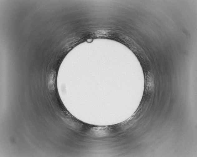 X0000114500082200911301136