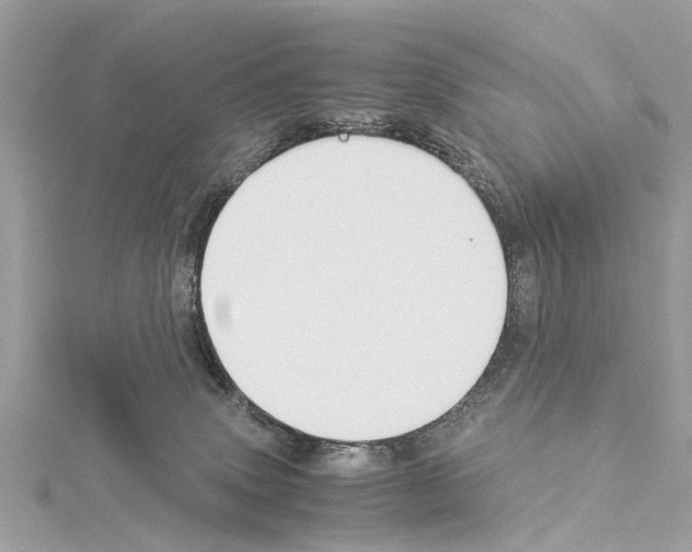 X0000114500083200911301136