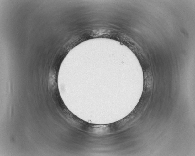 X0000114500087200911301136