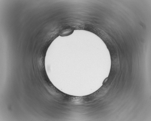 X0000114500088200911301136