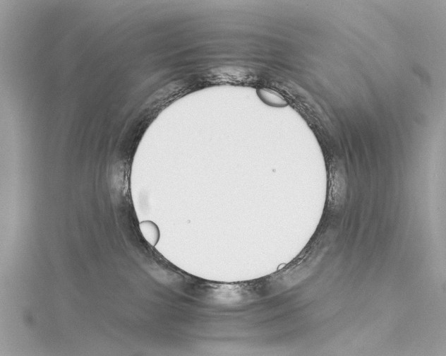 X0000114500091200911301136