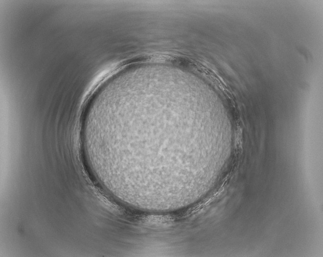 X0000114500101200911301135