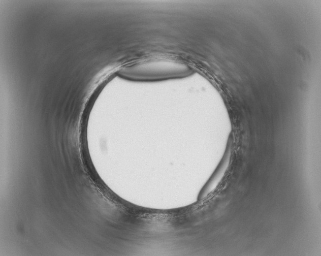X0000114500104200911301135