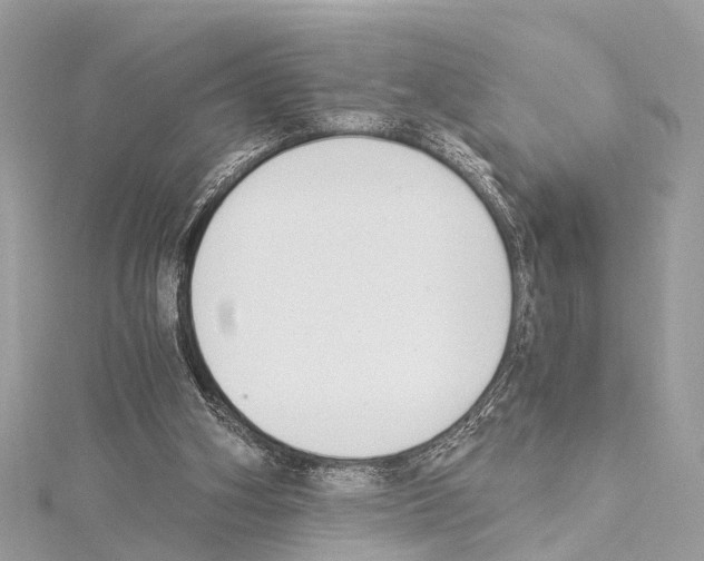 X0000114500106200911301135