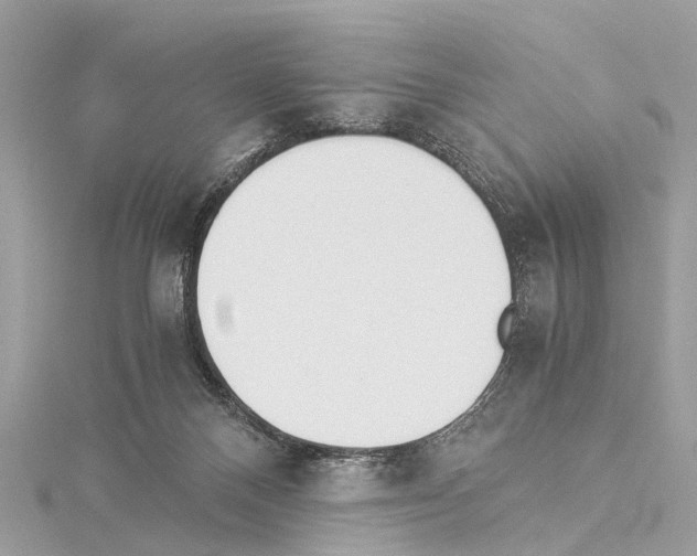 X0000114500120200911301135