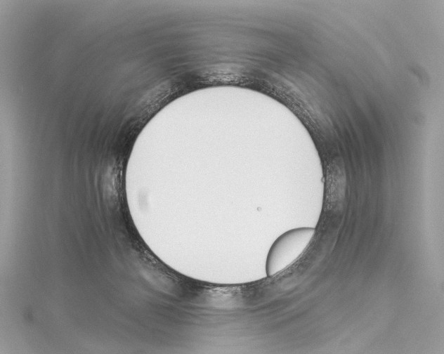 X0000114500126200911301135