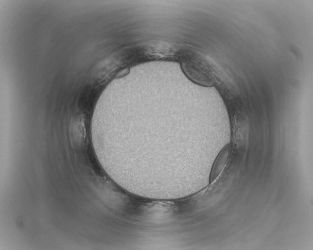 X0000114500128200911301135