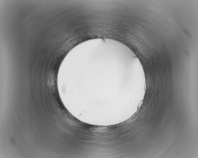 X0000114500132200911301134