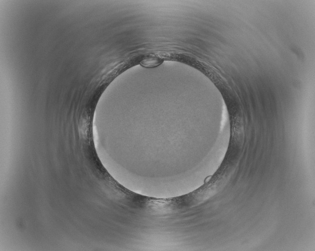 X0000114500139200911301134