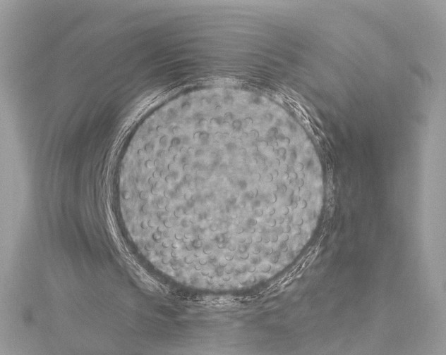 X0000114500145200911301134
