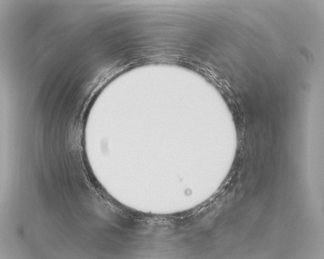 X0000114500146200911301134