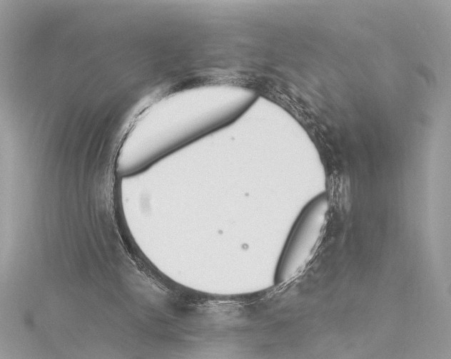 X0000114500150200911301134