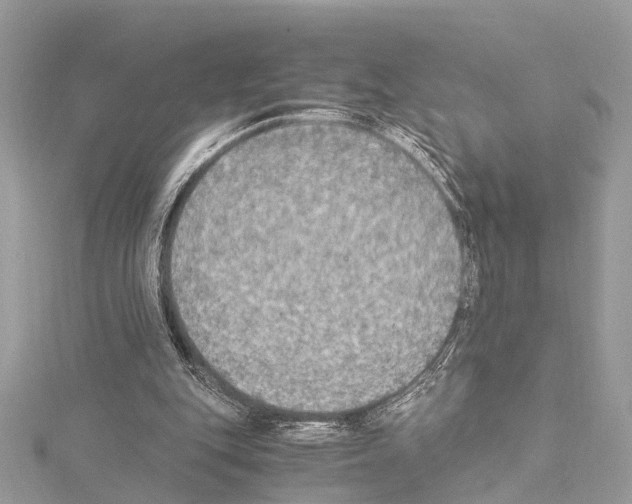 X0000114500151200911301134