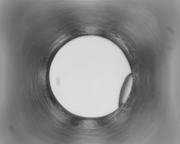 X0000114500154200911301134