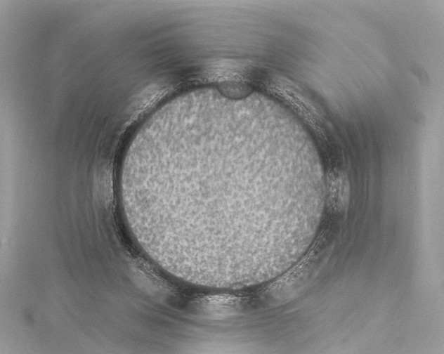 X0000114500158200911301134