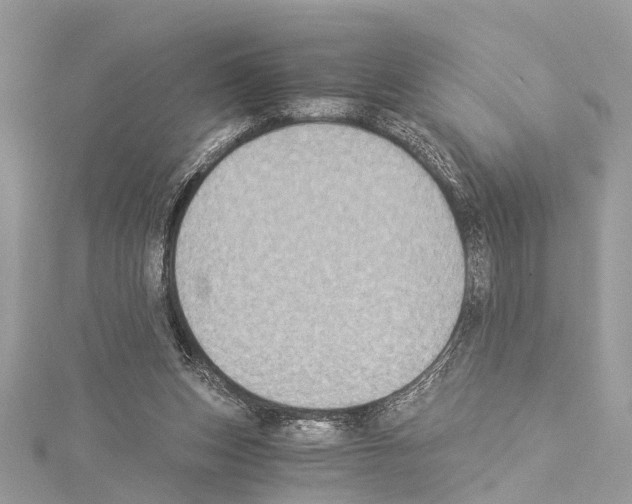 X0000114500159200911301134