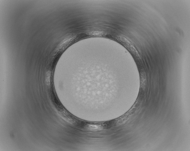 X0000114500167200911301134