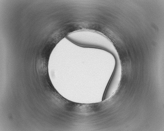 X0000114500186200911301134