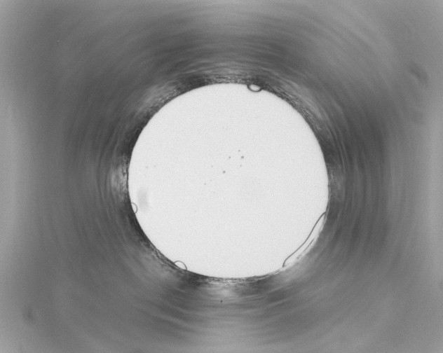 X0000114500190200911301134