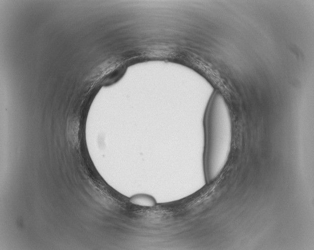 X0000114500201200911301133