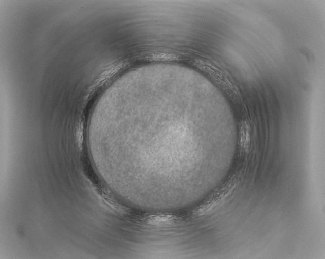 X0000114500206200911301133