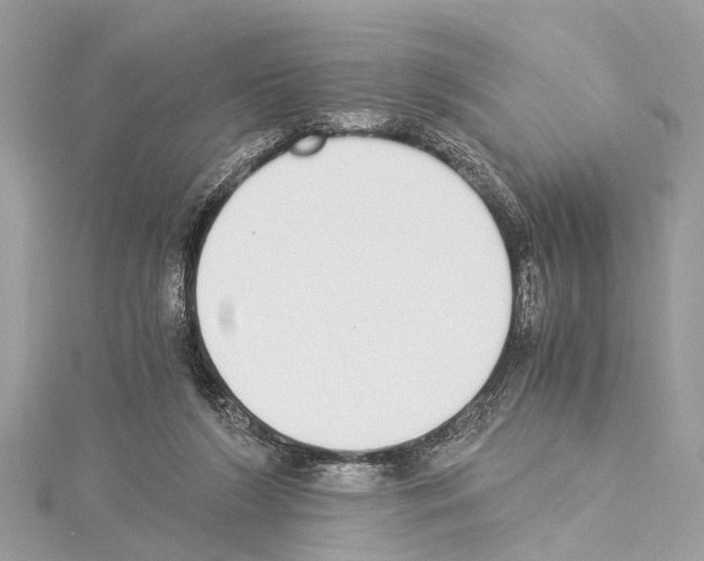 X0000114500212200911301133