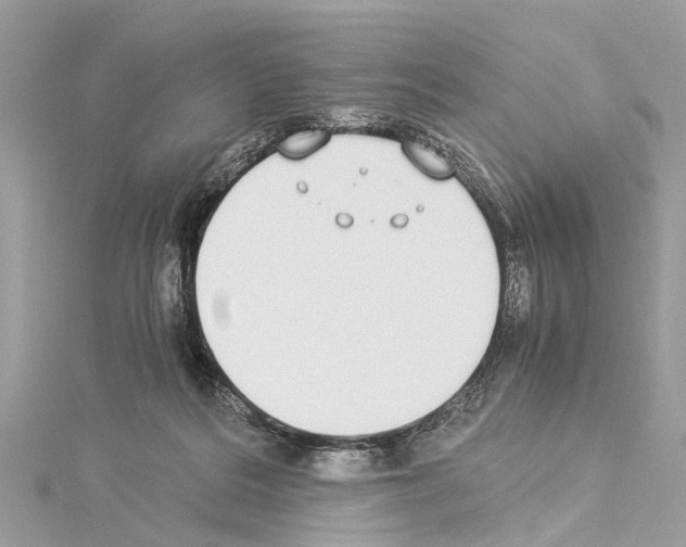 X0000114500220200911301133