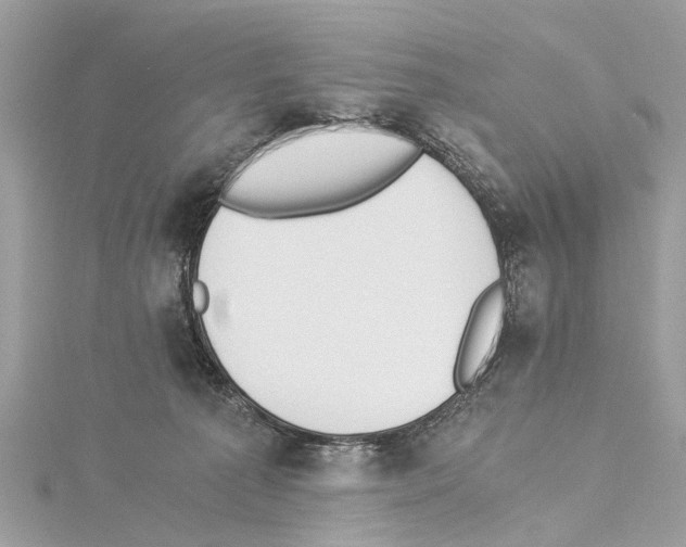 X0000114500225200911301133
