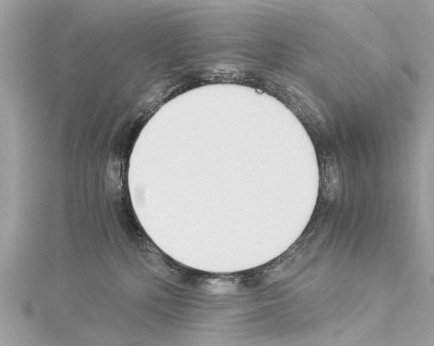 X0000114500232200911301133