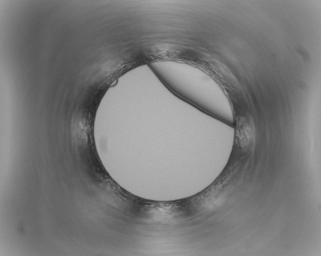 X0000114500235200911301133