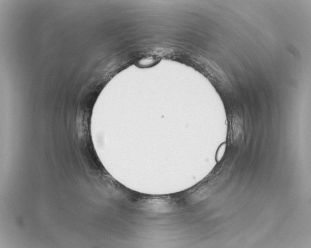 X0000114500236200911301133