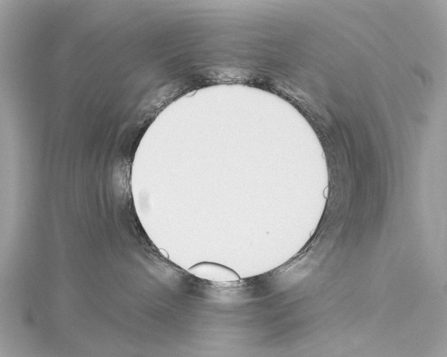 X0000114500240200911301133