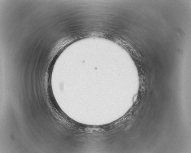 X0000114500242200911301132