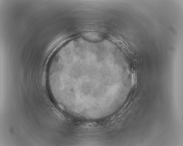 X0000114500243200911301132
