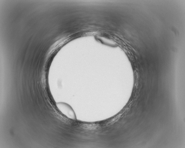 X0000114500245200911301132