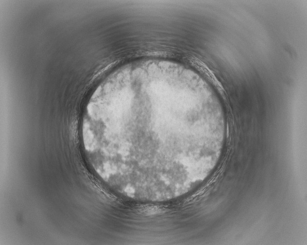 X0000114500249200911301132