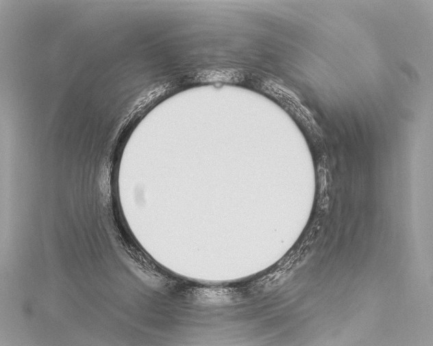 X0000114500250200911301132