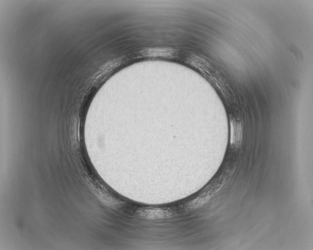 X0000114500253200911301132