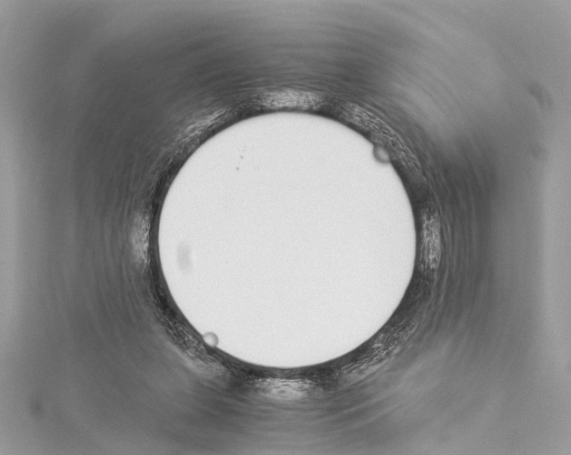 X0000114500255200911301132
