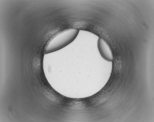 X0000114500260200911301132