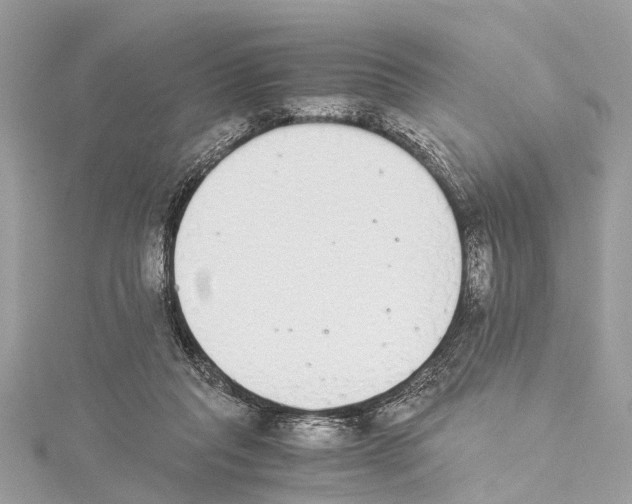 X0000114500261200911301132