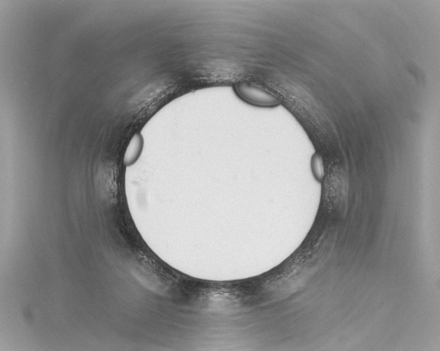 X0000114500264200911301132