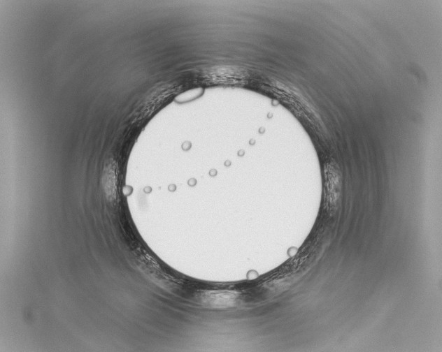 X0000114500266200911301132