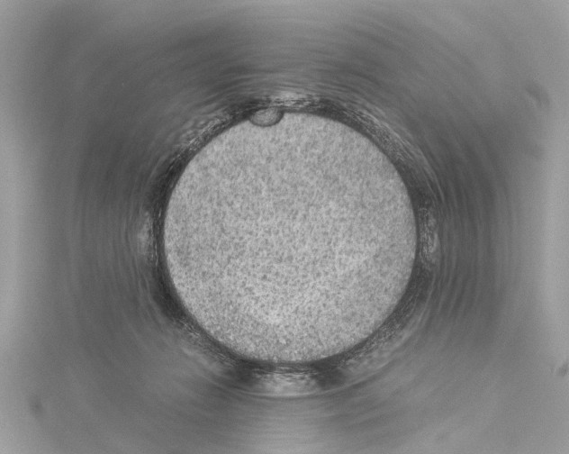 X0000114500270200911301133