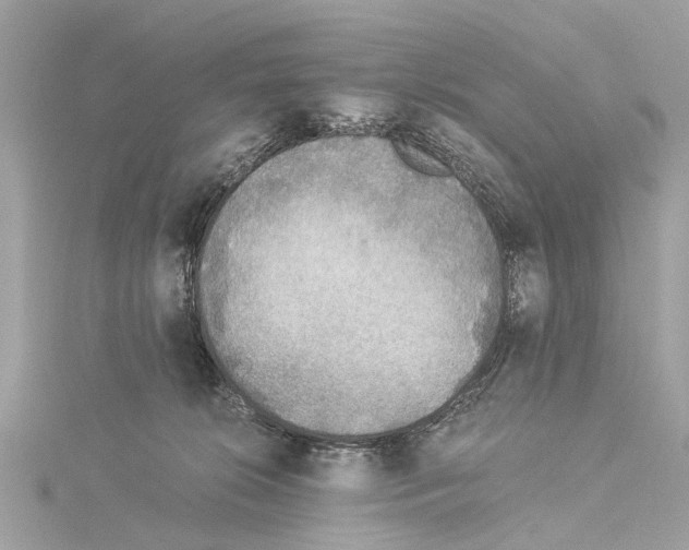 X0000114500276200911301133