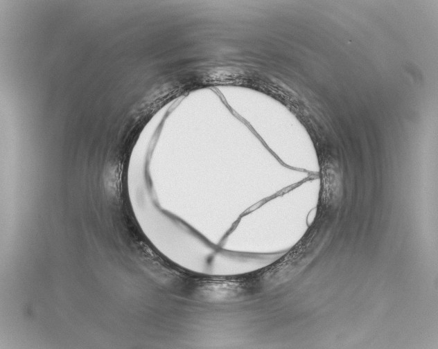 X0000114500278200911301133