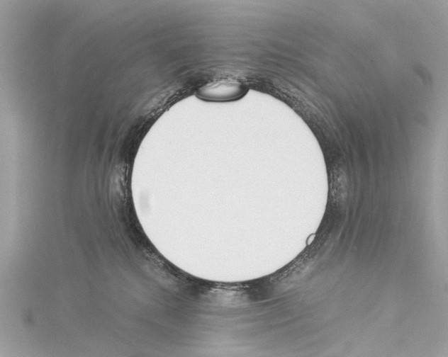 X0000114500280200911301133