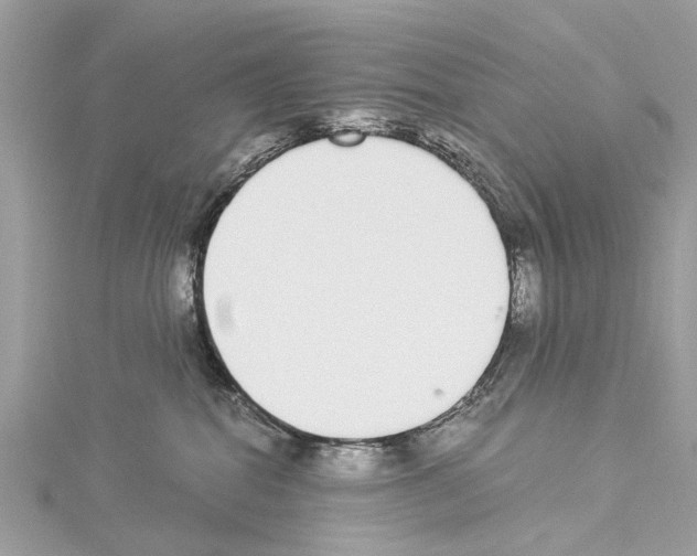 X0000114500282200911301133