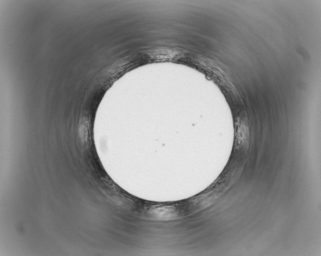 X0000114500283200911301133